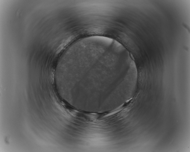 X0000098190168200805221526