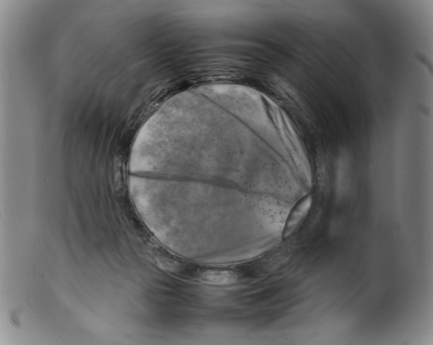 X0000098190169200805221526