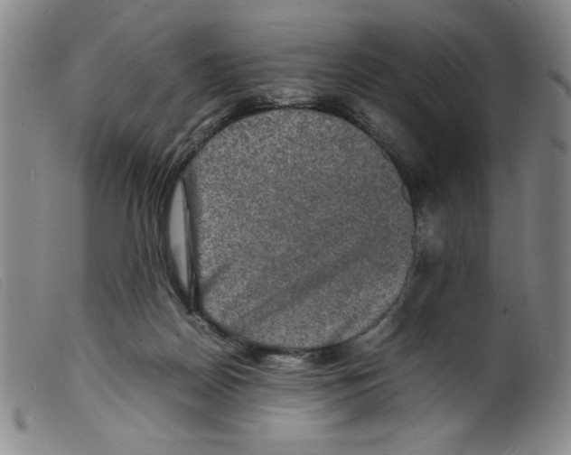 X0000098190170200805221526