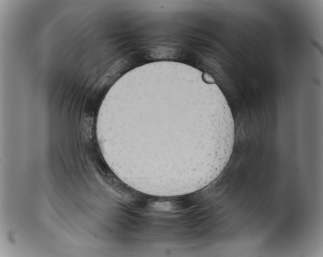 X0000098190171200805221526