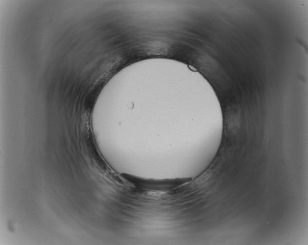 X0000098190172200805221526