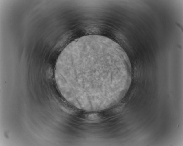 X0000098190173200805221526