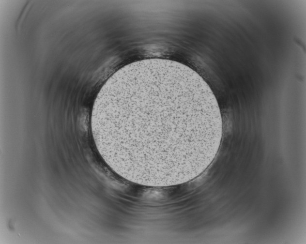 X0000098190174200805221526