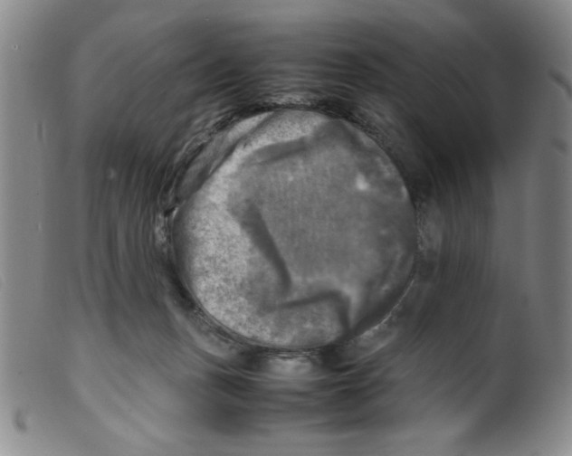 X0000098190175200805221526