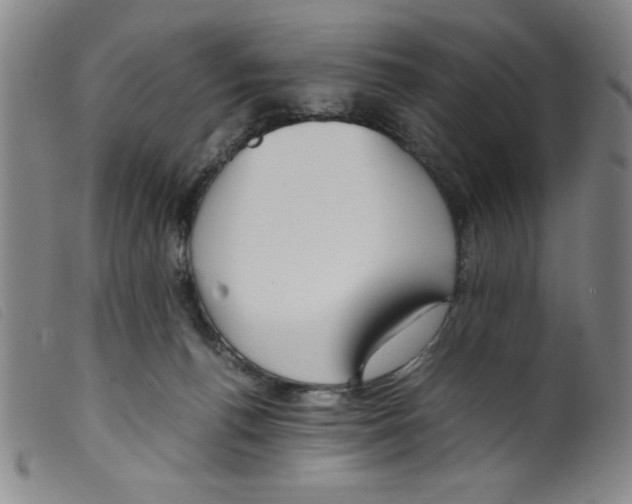 X0000098190176200805221526
