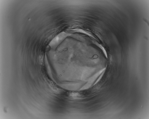 X0000098190177200805221526
