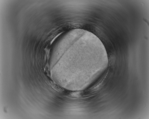X0000098190178200805221526