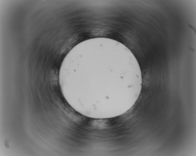 X0000098190179200805221526