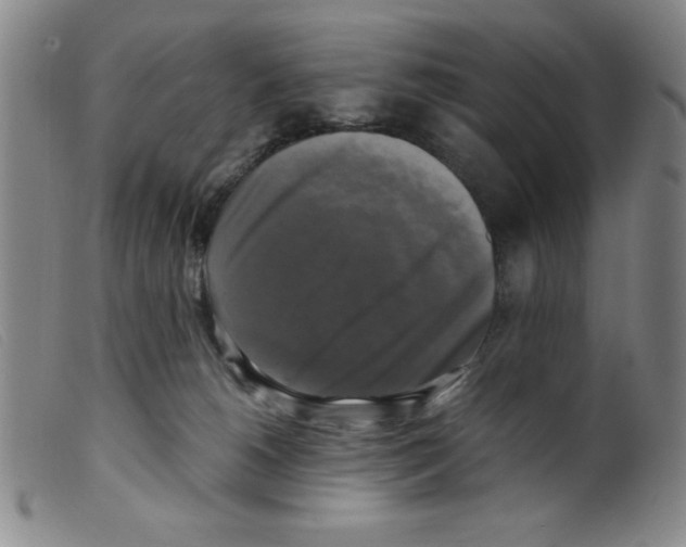 X0000098190180200805221526
