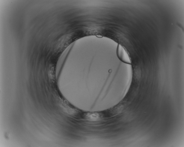 X0000098190181200805221526
