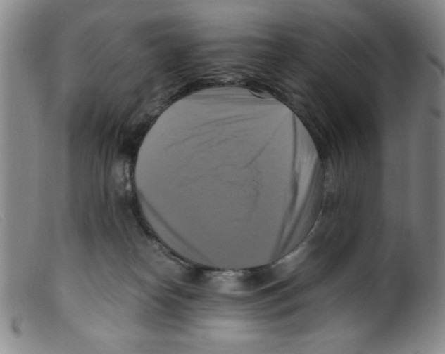 X0000098190182200805221526
