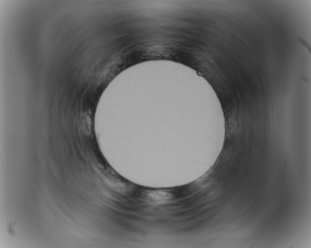 X0000098190183200805221527