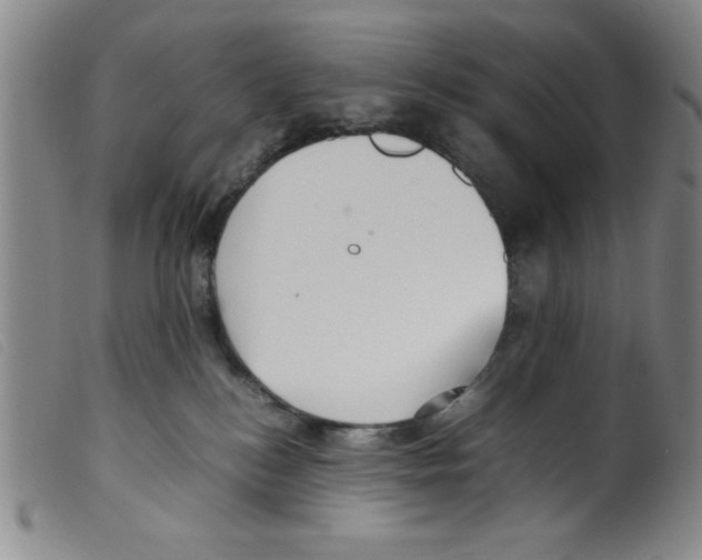 X0000098190184200805221527