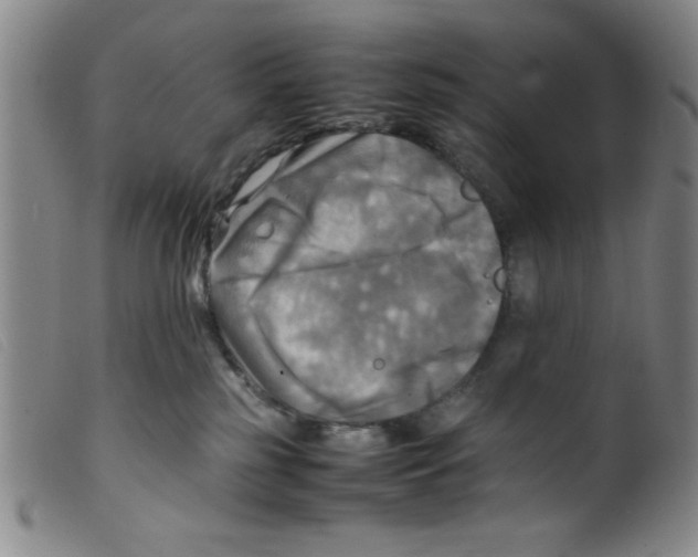 X0000098190185200805221527