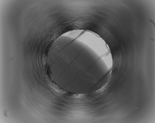 X0000098190186200805221527