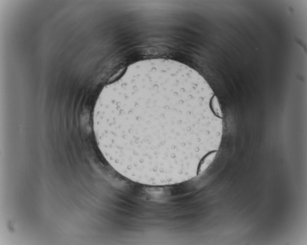 X0000098190187200805221527