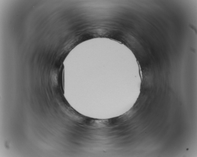 X0000098190188200805221527