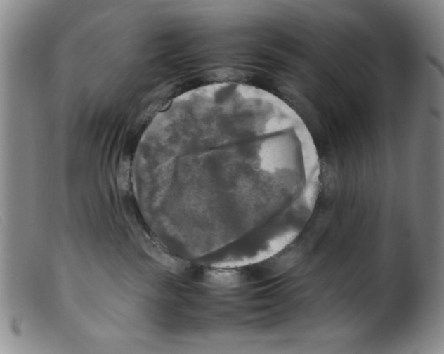 X0000098190189200805221527