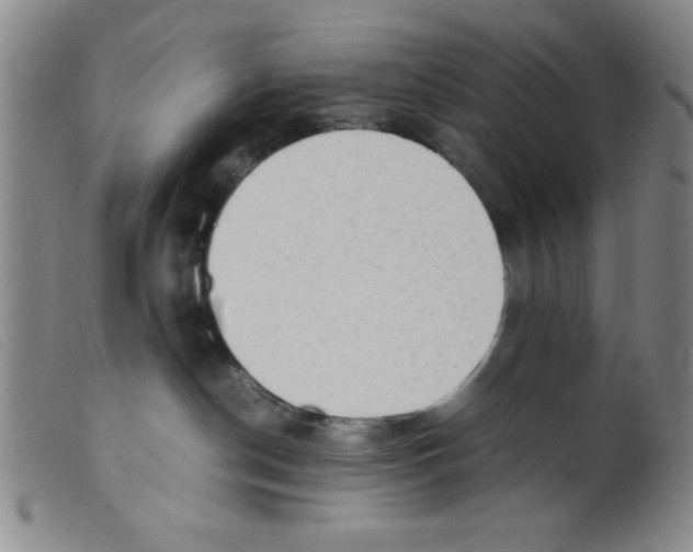X0000098190190200805221527