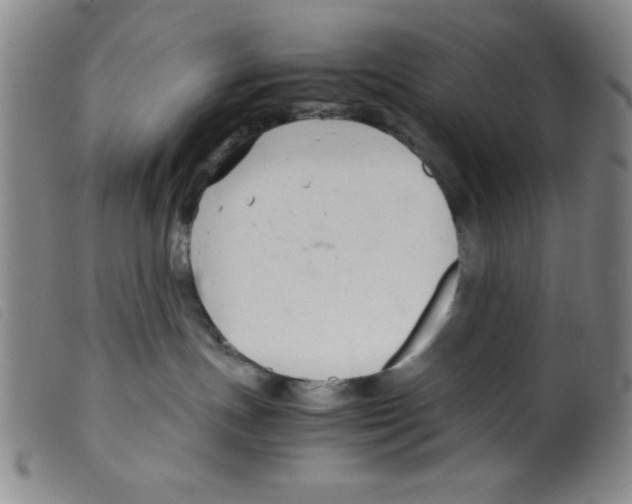 X0000098190191200805221527