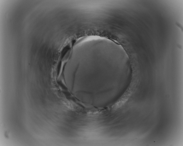 X0000098190192200805221527
