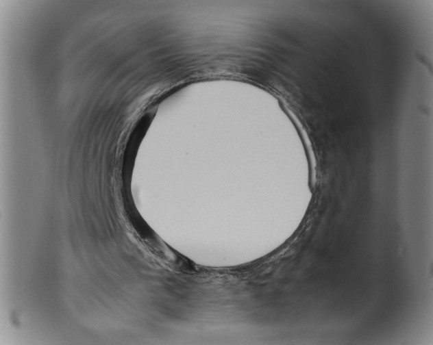 X0000098190193200805221526