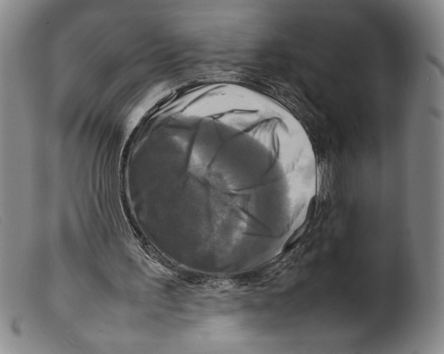 X0000098190195200805221526