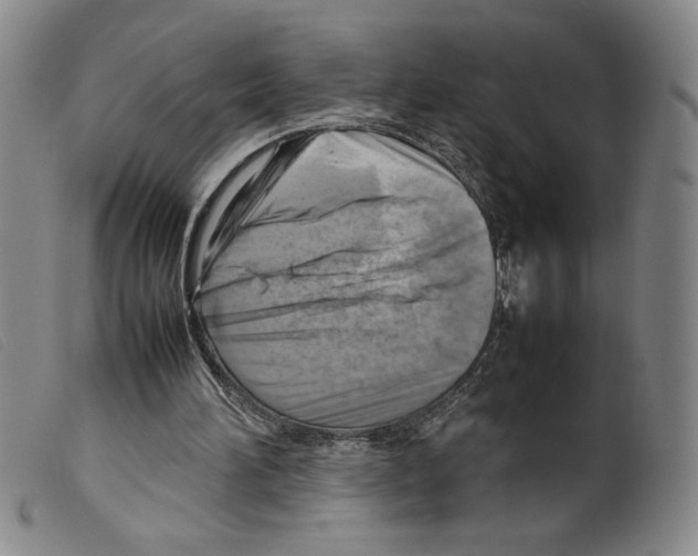 X0000098190196200805221526