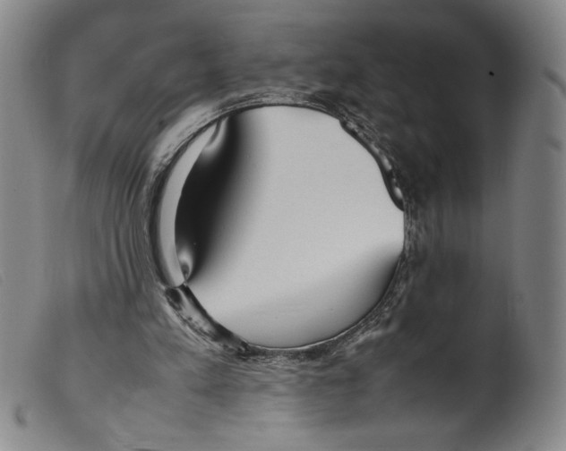 X0000098190197200805221526