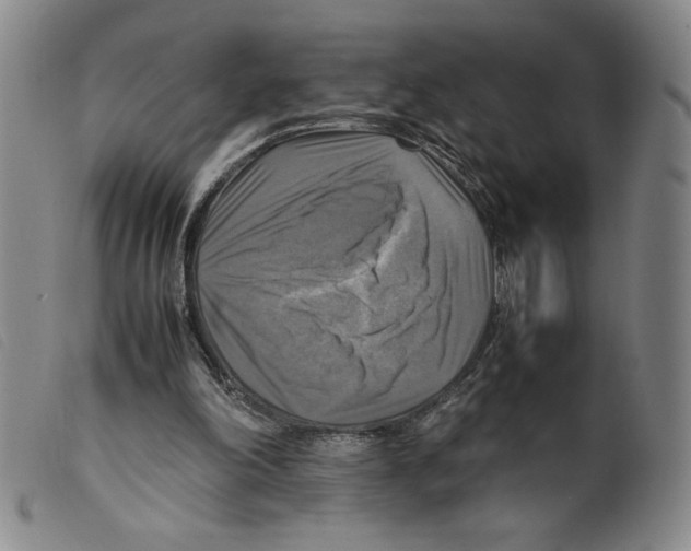 X0000098190198200805221526