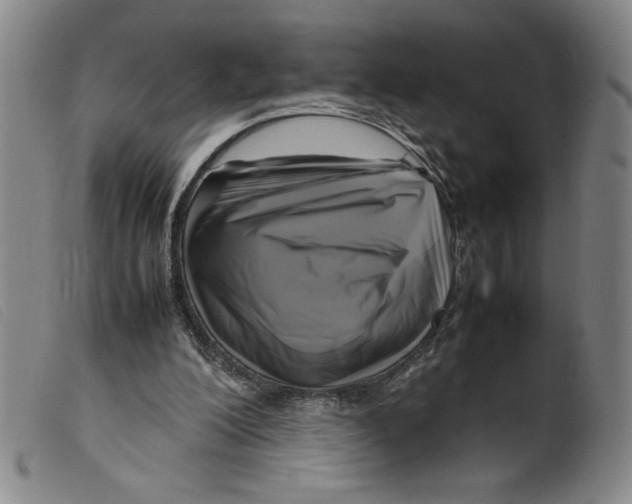 X0000098190200200805221526