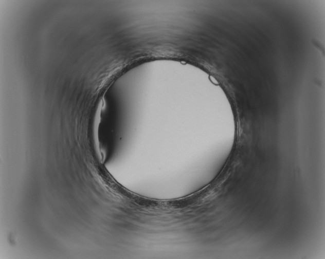 X0000098190201200805221526
