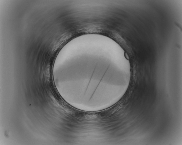 X0000098190202200805221526