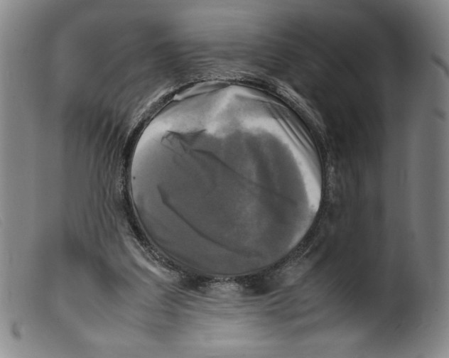 X0000098190203200805221526