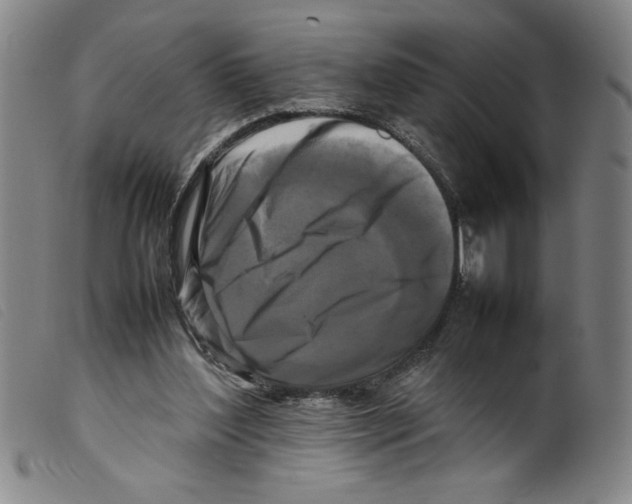 X0000098190204200805221526