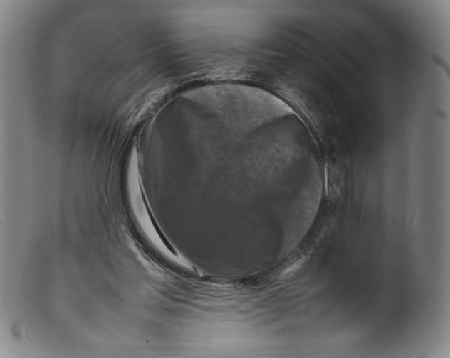 X0000098190205200805221526