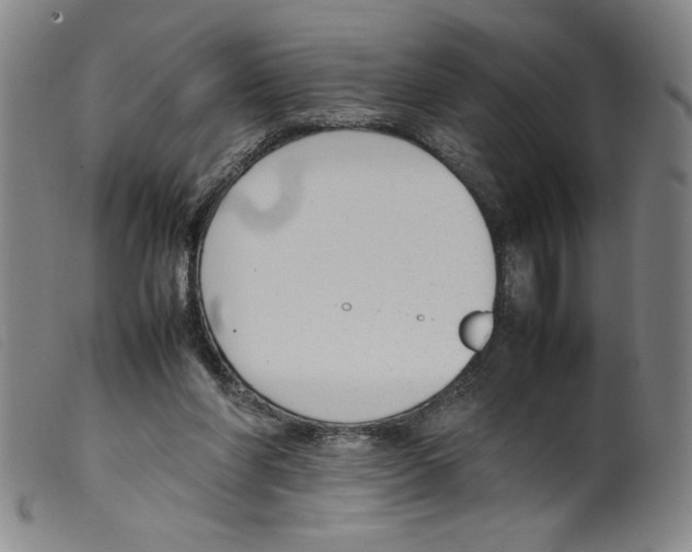 X0000098190206200805221526
