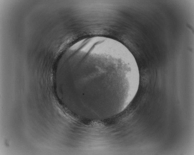X0000098190207200805221526