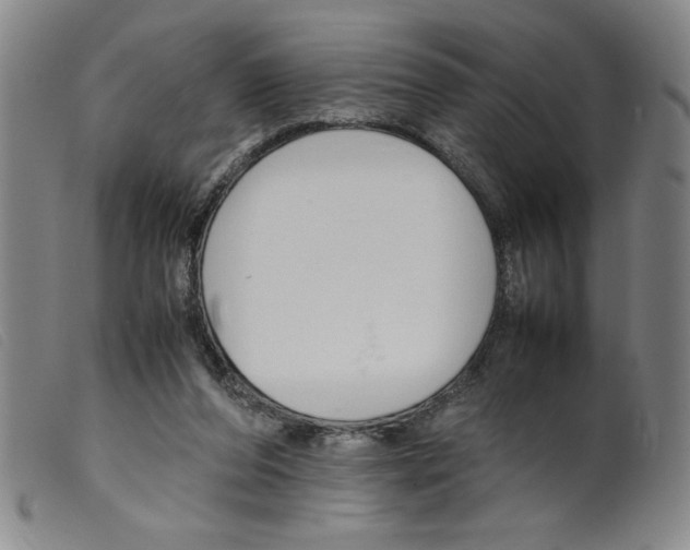 X0000098190208200805221526