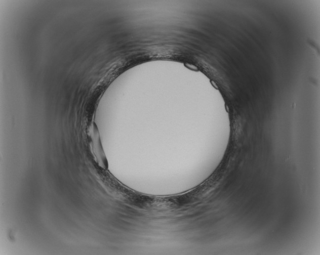 X0000098190209200805221526