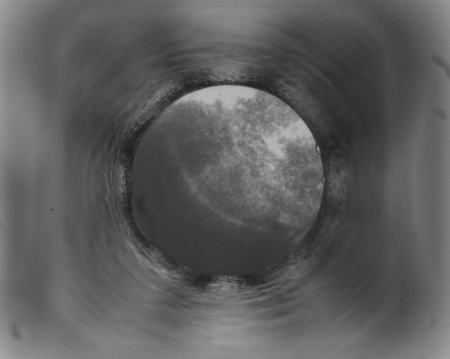 X0000098190211200805221526