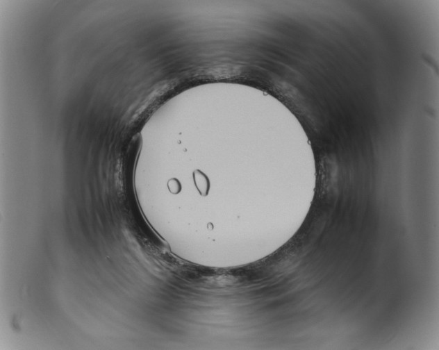 X0000098190212200805221526