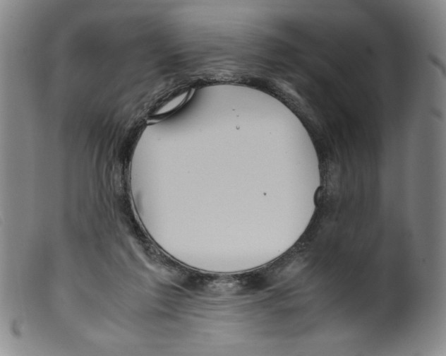 X0000098190213200805221526
