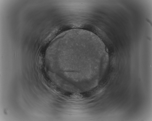 X0000098190215200805221525
