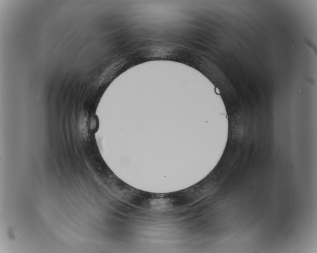 X0000098190216200805221525