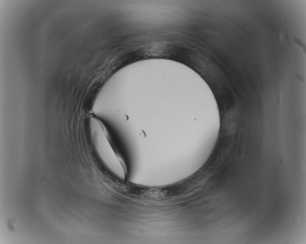 X0000098190217200805221525
