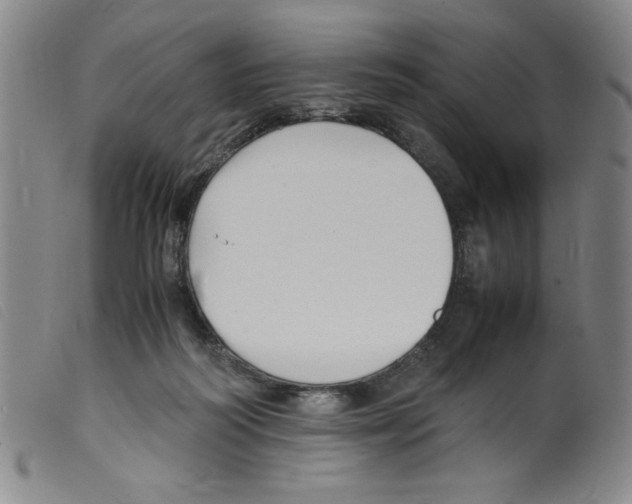 X0000098190218200805221525