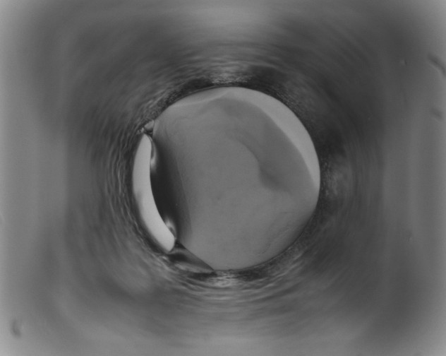 X0000098190219200805221525