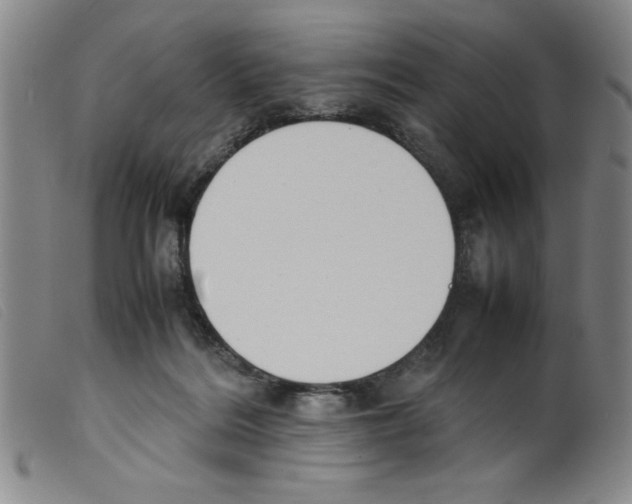 X0000098190220200805221525