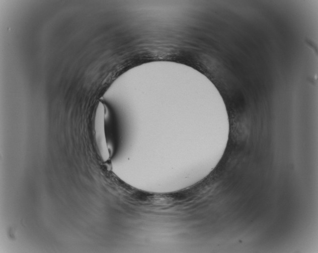 X0000098190221200805221525